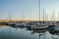 ROMA, ITALY - JULY 2019: Luxury sailing yachts in port Royalty Free Stock Photo