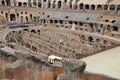 Colosseum, Coliseum or Coloseo, Flavian Amphitheatre largest ever built symbol of ancient Roma city in Roman Empire. Royalty Free Stock Photo