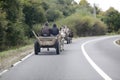 Roma people drive a horse drawn cart on a public road