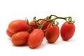 Roma Tomato Royalty Free Stock Photo