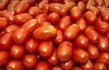 Roma tomatoes Royalty Free Stock Photo