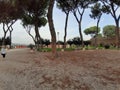 Roma - Turisti al Giardino degli Aranci Royalty Free Stock Photo
