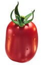 Roma VF plum tomato, paths Royalty Free Stock Photo