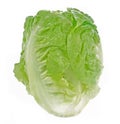 Romain Lettuce isolated on a white background Royalty Free Stock Photo