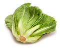 Romain lettuce Royalty Free Stock Photo