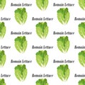 Romain lettuce seamless pattern