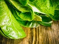 Romaine or cos lettuce on wooden background