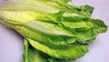 Romaine Lettuce