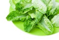 Romaine lettuce