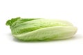 Romaine lettuce