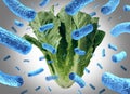 Romaine Lettuce E Coli Outbreak