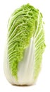 Romaine Lettuce Isolated Royalty Free Stock Photo