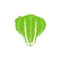 Romaine lettuce. Isolated lettuce on white background. Logo Royalty Free Stock Photo