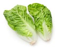 Romaine Lettuce Isolated On White Background Royalty Free Stock Photo