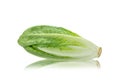 Romaine Lettuce isolated on white,clipping path Royalty Free Stock Photo