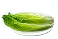 Romaine lettuce on a plate