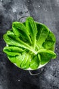 Romaine lettuce salad in a colander. Black background. Top view Royalty Free Stock Photo