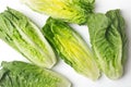 Romaine lettuce