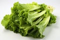 Romaine Lettuce on white background