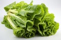 Romaine Lettuce on white background