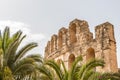 Palm trees and the Roman Amphitheatre of El Djem, Tunisia, Africa Royalty Free Stock Photo