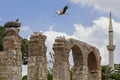 Roman aqueduct, Ephesus, Selcuk, Izmir, Turkey