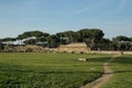 Roman aqueduct in San Policarpo Park, Rome