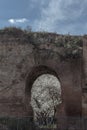 A Roman arch with a flowering tree in the middle