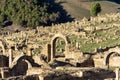 Roman arches in the ancient Roman city of Djemila.