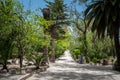 Roman Bath Garden in Carthage, Tunisia. Palm Trees and path