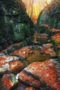 The Roman baths gorge in Bakony mountains, Hungary