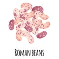 Roman beans for template farmer market design, label and packing. Natural energy protein organic super food