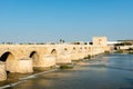 Roman bridge and Calahorra Tower in Cordoba Royalty Free Stock Photo