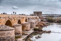 The Roman Bridge and the Calahorra Tower in Cordoba, Spain