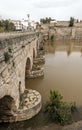 Roman bridge of Emerita Augusta