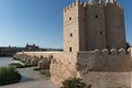 Roman Bridge and Guadalquivir river, Great Mosque, Cordoba, Spain Royalty Free Stock Photo