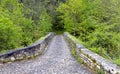 Roman bridge input, Poo de Cabrales. Royalty Free Stock Photo