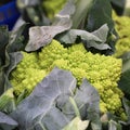 Roman cabbage fruit vegetables food vegetarian Royalty Free Stock Photo
