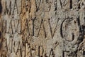 Roman Capital Letters on the Stone Royalty Free Stock Photo