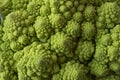 Roman cauliflower close up. Fractal Texture of Romanesco broccoli. Royalty Free Stock Photo