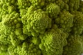 Roman cauliflower close up. Fractal Texture of Romanesco broccoli. Royalty Free Stock Photo