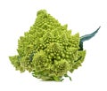 Roman cauliflower on white background Royalty Free Stock Photo