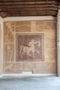 Roman Centaur Mosaic Rhodes Greece