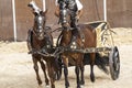 Roman chariot in a fight of gladiators, bloody circus Royalty Free Stock Photo