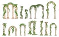 Roman columns. Ancient greek column with ivy green leaves. Isolated archeology elements, old architecture collection