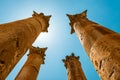 Roman columns in the Jerash Gerasa, Jordan. Royalty Free Stock Photo