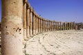 Roman columns in Jerash, Jordan Royalty Free Stock Photo