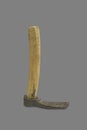 Roman draw hoe. Agricultural iron tool