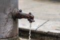 Roman drinking fountain with a monster head