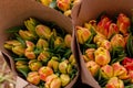 Roman Empire Tulip Packing. Foraging, growing tulips, in various ways for hydroponics and sustainable agriculture. Small Royalty Free Stock Photo